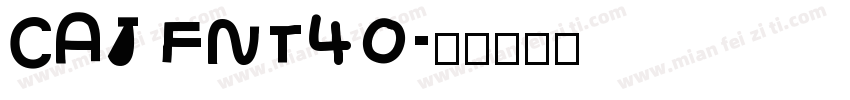 CAJ FNT40字体转换